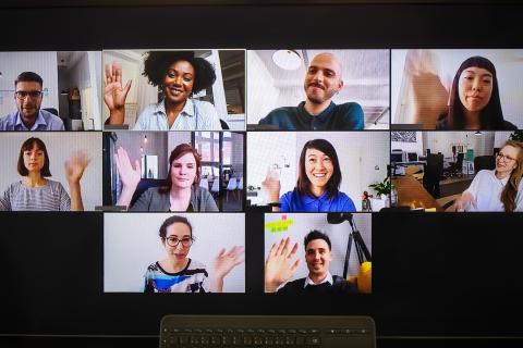 people-in-online-meeting